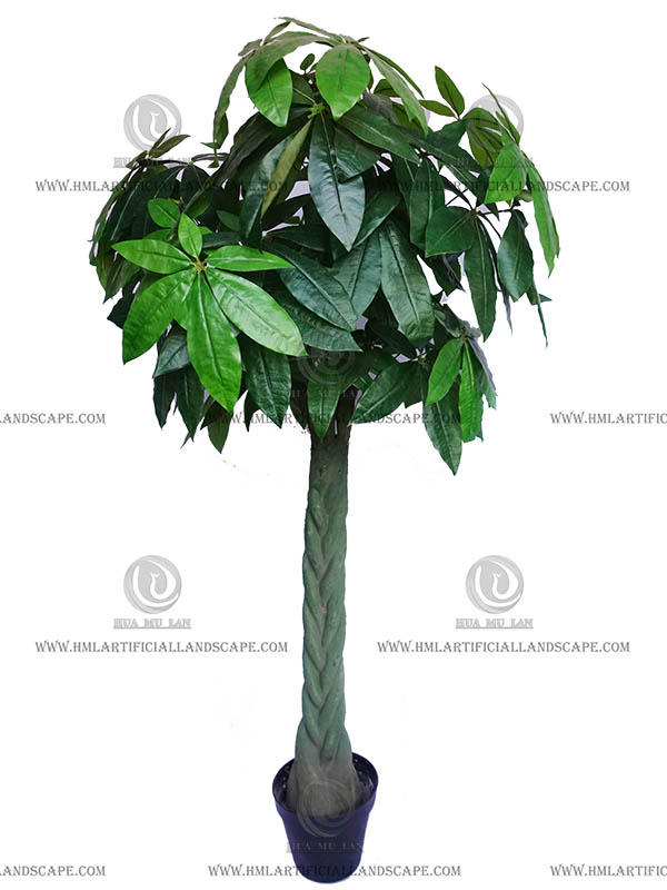 FORTUNE TREE