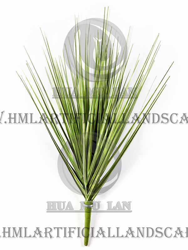 ONION GRASS BUSH