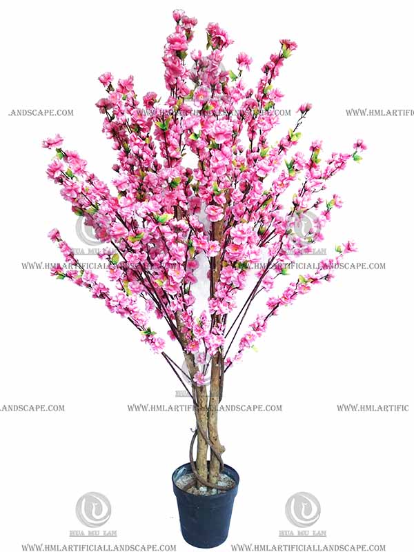 PEACH BLOSSOM TREE