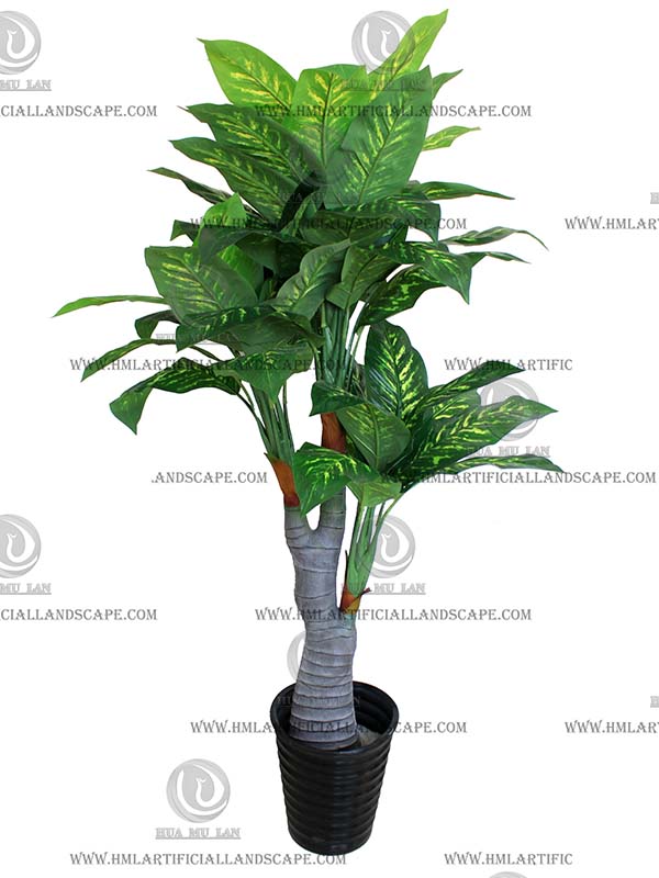 DIFFENBACHIA