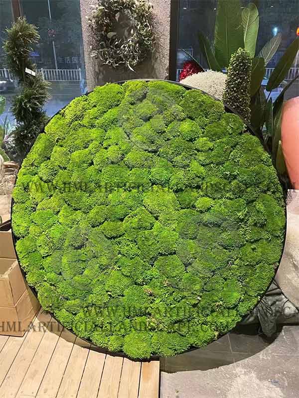 Moss Wall
