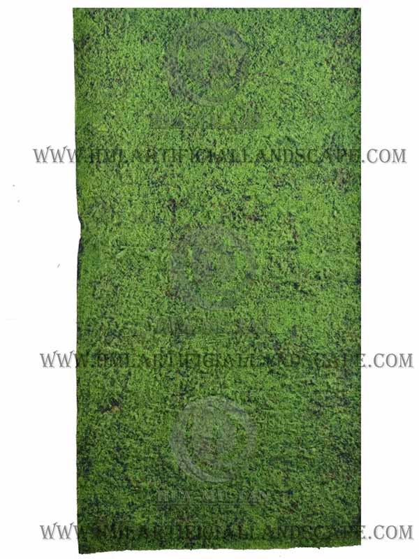 MOSS MAT