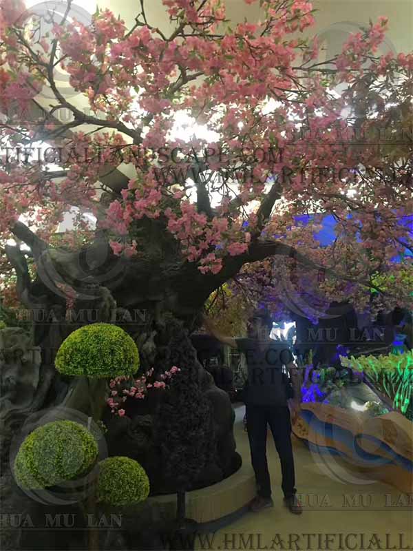 Cherry blossom tree