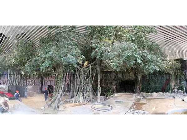 Banyan